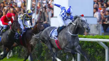 Conoce al ejemplar chileno que sale entre los mejores Caballos del Mundo Conoce al ejemplar chileno que sale entre los mejores Caballos del Mundo