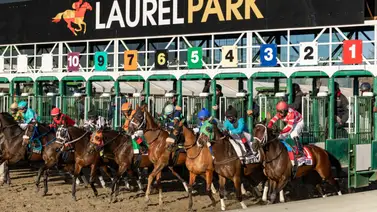 Así quedaron los resultados de las carreras en Laurel Park para el jueves 14-5-2026 Así quedaron los resultados de las carreras en Laurel Park para el jueves 14-5-2026