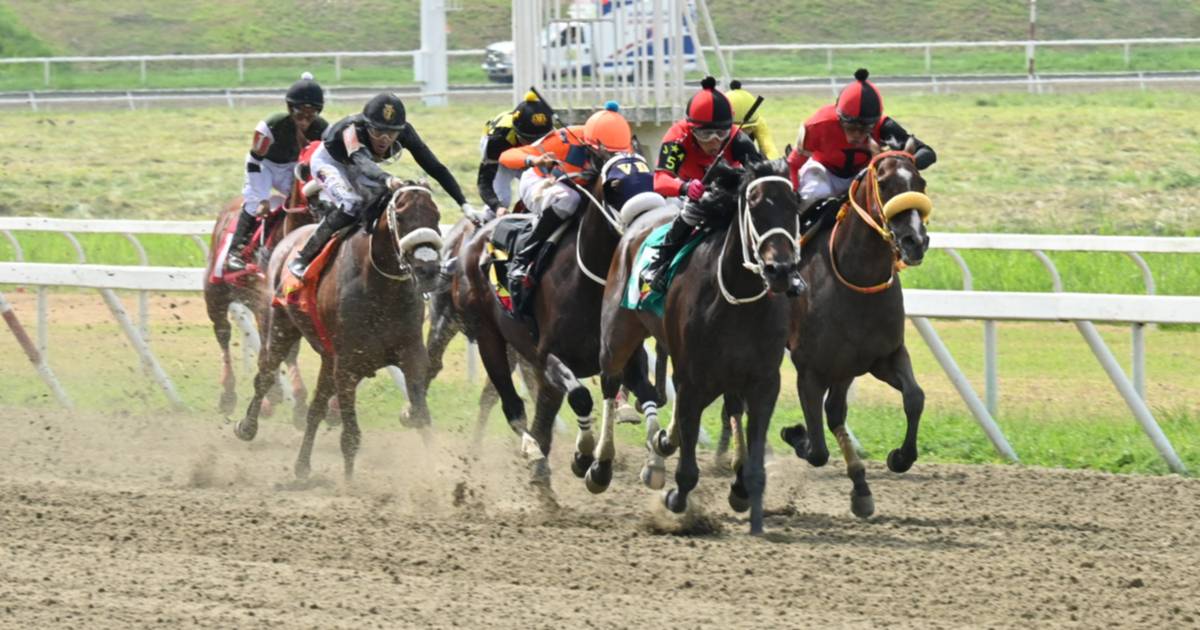 Ruta al éxito en la reunión 21: Ejemplares con mayor poder y la jugada larga para el 5y6 de La Rinconada