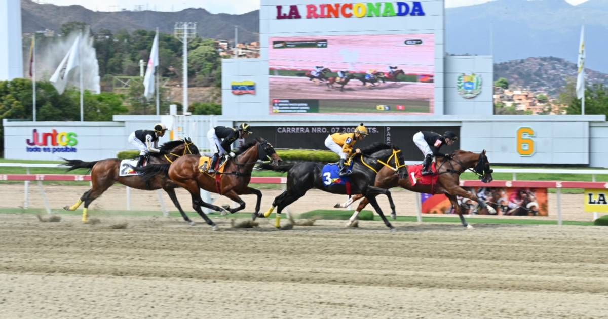 La Rinconada: Favoritos de la cátedra para el 5y6 Nacional de la reunión N°21