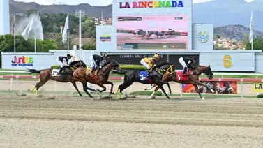 La Rinconada: Favoritos de la cátedra para el 5y6 Nacional de la reunión N°21 La Rinconada: Favoritos de la cátedra para el 5y6 Nacional de la reunión N°21