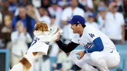 Shohei Ohtani rinde tributo a Decoy en sus spikes