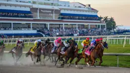 Pronósticos Gulfstream Park: picks gratis y el dato clave para el viernes 15 de mayo