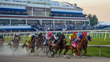 Pronósticos Gulfstream Park: picks gratis y el dato clave para el viernes 15 de mayo Pronósticos Gulfstream Park: picks gratis y el dato clave para el viernes 15 de mayo