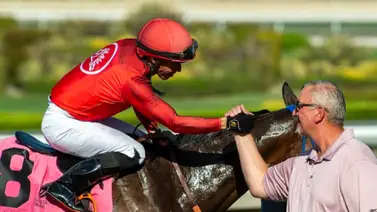 ¡No lo dejes pasar! Conoce a la “Torre” hijo de un ganador del Preakness Stakes (G1) que hará debutar Emisael Jaramillo este viernes en Santa Anita Park ¡No lo dejes pasar! Conoce a la “Torre” hijo de un ganador del Preakness Stakes (G1) que hará debutar Emisael Jaramillo este viernes en Santa Anita Park