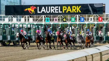 Preakness Stakes 2026: Vive la emoción de Laurel Park con la edición especial de Gaceta Hípica Preakness Stakes 2026: Vive la emoción de Laurel Park con la edición especial de Gaceta Hípica