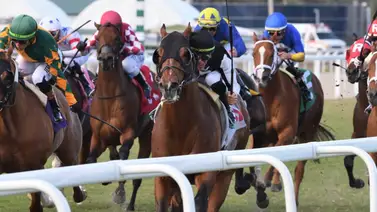 Así quedaron los resultados de las carreras en Gulfstream Park para el viernes 15-5-2026 Así quedaron los resultados de las carreras en Gulfstream Park para el viernes 15-5-2026