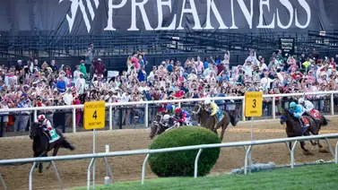 El Preakness Stakes 2026 tiene su análisis con La Previa Hípica Internacional de Meridiano El Preakness Stakes 2026 tiene su análisis con La Previa Hípica Internacional de Meridiano