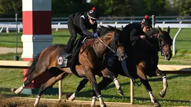 Mira el trabajo del héroe del Kentucky Derby (G1), Golden Tempo, rumbo a la tercera gema en Estados Unidos Mira el trabajo del héroe del Kentucky Derby (G1), Golden Tempo, rumbo a la tercera gema en Estados Unidos