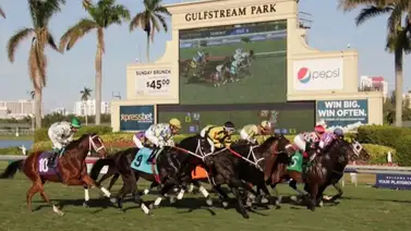 Pronósticos Gulfstream Park: picks gratis y el dato clave para el sábado 16 de mayo Pronósticos Gulfstream Park: picks gratis y el dato clave para el sábado 16 de mayo
