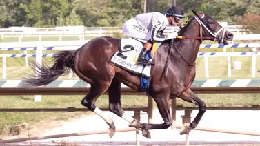 Navajo Warrior con Flavien Prat pasa cuchillo en el Pimlico Special (G3) Navajo Warrior con Flavien Prat pasa cuchillo en el Pimlico Special (G3)