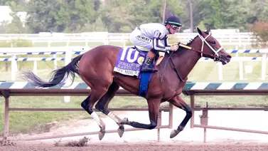 My Miss Mo es superior en el Black-Eyed Susan (G2) en Laurel Park My Miss Mo es superior en el Black-Eyed Susan (G2) en Laurel Park