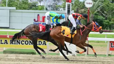 ¿Quieres ganar el Loto Hípico? Esta es la jugada recomendada por Meridiano Web para La Rinconada ¿Quieres ganar el Loto Hípico? Esta es la jugada recomendada por Meridiano Web para La Rinconada
