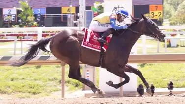 Jinete ganador del Jockey Challenge en La Rinconada gana el primer stakes del sábado en Laurel Park Jinete ganador del Jockey Challenge en La Rinconada gana el primer stakes del sábado en Laurel Park