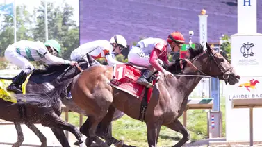 Bring The Smoke sorprende y supera en la raya al favorito Faust en el Maryland Sprint Stakes (G3) en Laurel Park Bring The Smoke sorprende y supera en la raya al favorito Faust en el Maryland Sprint Stakes (G3) en Laurel Park