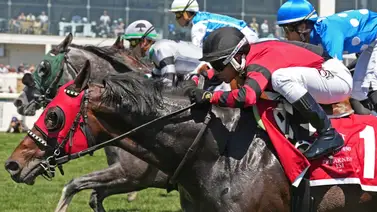 Así quedaron los resultados de las carreras en Laurel Park para el sábado 16-5-2026 Así quedaron los resultados de las carreras en Laurel Park para el sábado 16-5-2026