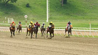 Estos son los retirados de la Reunión N°21 en el hipódromo La Rinconada para el domingo 17-5-2026 Estos son los retirados de la Reunión N°21 en el hipódromo La Rinconada para el domingo 17-5-2026