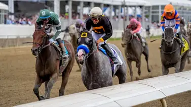 ¡Dominio Total en el Preakness! La estadística que te impactará sobre los jockeys latinos en la segunda gema ¡Dominio Total en el Preakness! La estadística que te impactará sobre los jockeys latinos en la segunda gema