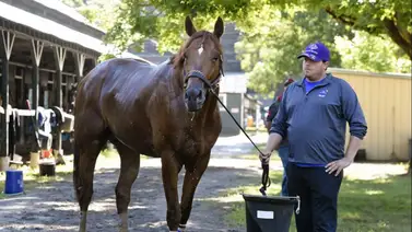 ¿Sabes cuántos entrenadores han ganado el Preakness Stakes en su única intervención? ¿Sabes cuántos entrenadores han ganado el Preakness Stakes en su única intervención?