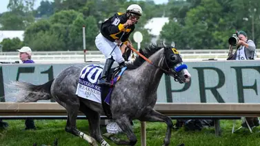 Entérate por qué el Preakness Stakes (G1) 151 ha sido uno de los más lentos en los últimos 80 años Entérate por qué el Preakness Stakes (G1) 151 ha sido uno de los más lentos en los últimos 80 años