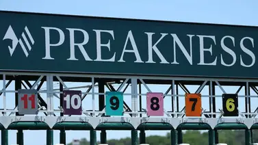Aquí están los dividendos y montos apostados del Preakness Stakes (G1) edición 151 Aquí están los dividendos y montos apostados del Preakness Stakes (G1) edición 151