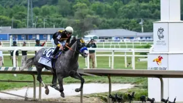 Estos han sido los últimos tordillos que han ganado el Preakness Stakes (G1) Estos han sido los últimos tordillos que han ganado el Preakness Stakes (G1)
