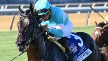 El selectivo Intricate Spirit contra ocho rivales en el Paradise Creek Stakes de $150,000 este sábado en Belmont at the Big A El selectivo Intricate Spirit contra ocho rivales en el Paradise Creek Stakes de $150,000 este sábado en Belmont at the Big A