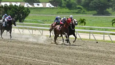 Mira lo que pasó con Queen Visión ayer después de la carrera en La Rinconada Mira lo que pasó con Queen Visión ayer después de la carrera en La Rinconada