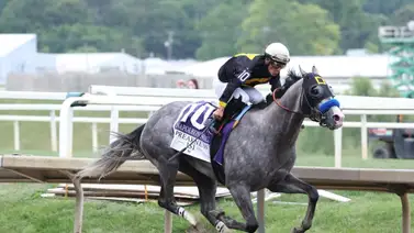 Victoria de Paco López coloca a los jockeys mexicanos en esta selecta lista de ganadores del Preakness Stakes (G1) Victoria de Paco López coloca a los jockeys mexicanos en esta selecta lista de ganadores del Preakness Stakes (G1)