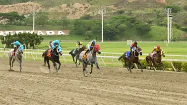 INH emite providencia sobre el nuevo handicap para ejemplares importados en La Rinconada INH emite providencia sobre el nuevo handicap para ejemplares importados en La Rinconada