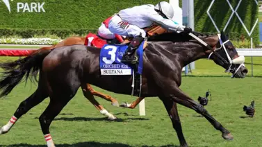 Atleta Meridiano 2025 busca el triunfo con esta yegua en el Keertana Stakes en Churchill Downs Atleta Meridiano 2025 busca el triunfo con esta yegua en el Keertana Stakes en Churchill Downs