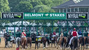 Infórmate sobre los 12 potenciales competidores de la edición número 158 del Belmont Stakes (G1) Infórmate sobre los 12 potenciales competidores de la edición número 158 del Belmont Stakes (G1)