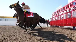 Entrenador venezolano arrasa con cuatro victorias en dos jornadas en este hipódromo
