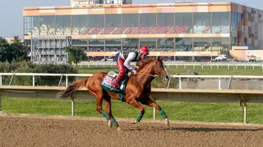 Así quedaron los resultados de las carreras en Parx Racing para el lunes 18-5-2026 Así quedaron los resultados de las carreras en Parx Racing para el lunes 18-5-2026