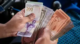 Así se distribuirá el pago del Ingreso Mínimo Integral por el Sistema Patria