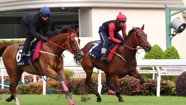 ¡Es la hora de la leyenda! El caballo más rico va por la historia en Hong Kong ¡Es la hora de la leyenda! El caballo más rico va por la historia en Hong Kong