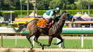 Emisael Jaramillo sobre Mohaven buscan la segunda victoria consecutiva en prueba stakes Emisael Jaramillo sobre Mohaven buscan la segunda victoria consecutiva en prueba stakes