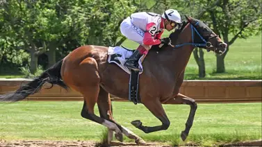 Jockey venezolano es el más valioso de la jornada en este hipódromo en Estados Unidos Jockey venezolano es el más valioso de la jornada en este hipódromo en Estados Unidos