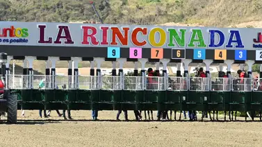 Ojo clínico: Debuta en La Rinconada una potra que tendrá el aval de una yunta ganadora Ojo clínico: Debuta en La Rinconada una potra que tendrá el aval de una yunta ganadora
