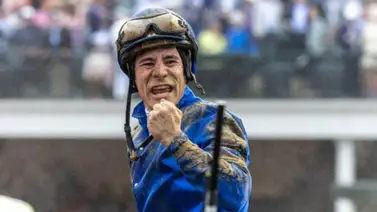 El hipismo está de fiesta: El histórico Atleta Meridiano 2025 celebra su cumpleaños consagrado como leyenda El hipismo está de fiesta: El histórico Atleta Meridiano 2025 celebra su cumpleaños consagrado como leyenda