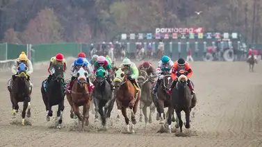Así quedaron los resultados de las carreras en Parx Racing para el miércoles 20-5-2026 Así quedaron los resultados de las carreras en Parx Racing para el miércoles 20-5-2026