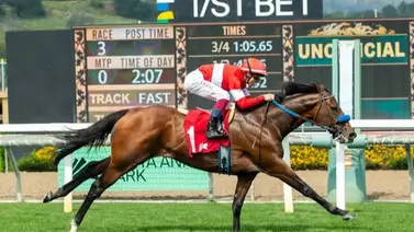 Hay revancha en el Crystal Water Stakes de $100,000 promete altos dividendos en Santa Anita Park Hay revancha en el Crystal Water Stakes de $100,000 promete altos dividendos en Santa Anita Park