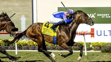 Unrivaled Time y Fionello retan al grupo del Snow Chief Stakes de $125,000 en Santa Anita Park Unrivaled Time y Fionello retan al grupo del Snow Chief Stakes de $125,000 en Santa Anita Park