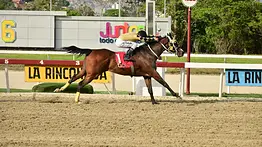 Nieto de Chayim y ganador clásico regresa a la pista de La Rinconada tras 161 días de ausencia