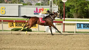 Nieto de Chayim y ganador clásico regresa a la pista de La Rinconada tras 161 días de ausencia Nieto de Chayim y ganador clásico regresa a la pista de La Rinconada tras 161 días de ausencia