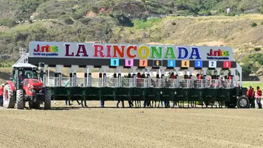 ¡Ojo en la taquilla! Conoce al debutante en La Rinconada con nombre de un invicto inolvidable ¡Ojo en la taquilla! Conoce al debutante en La Rinconada con nombre de un invicto inolvidable