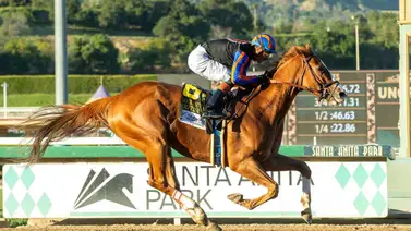 El enfrentamiento entre British Isles y Subsanador, en el Memorial Day de Santa Anita Park, es la contienda de la semana El enfrentamiento entre British Isles y Subsanador, en el Memorial Day de Santa Anita Park, es la contienda de la semana