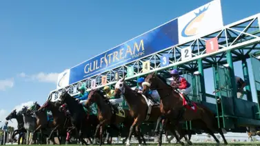 Pronósticos Gulfstream Park: picks gratis y el dato clave para el viernes 22 de mayo Pronósticos Gulfstream Park: picks gratis y el dato clave para el viernes 22 de mayo