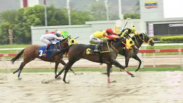 ¿Podrá Tintorero vencer a Invencible? Aquí te revelamos sus argumentos pisteros para el domingo en La Rinconada ¿Podrá Tintorero vencer a Invencible? Aquí te revelamos sus argumentos pisteros para el domingo en La Rinconada