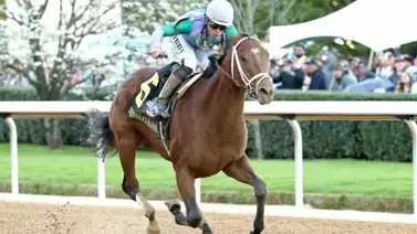 Renegade, regresa a las tablas con la intención rumbo a la edición 158 del Belmont Stakes (G1) Renegade, regresa a las tablas con la intención rumbo a la edición 158 del Belmont Stakes (G1)